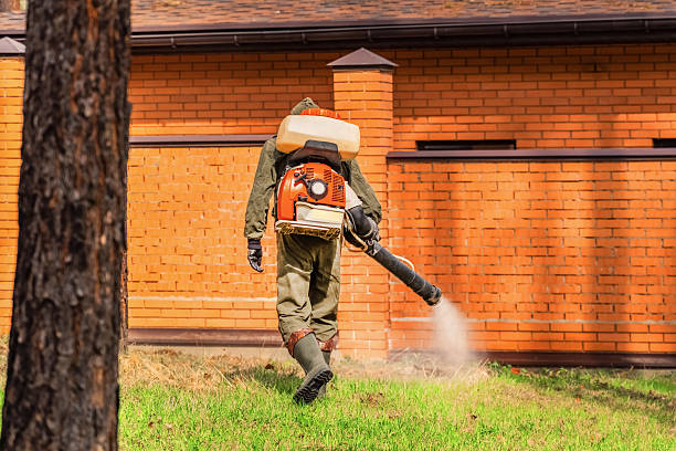 Bed Bug Clearance Verification and Documentation in River Ridge
